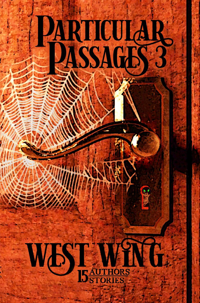 Image for Particular Passages 3